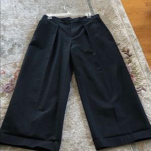 Banana republic “Black Wide-Leg Cropped Pleated Trousers with Cuffed Hem”